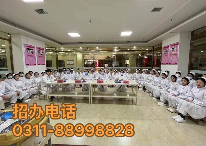 開啟護理之門，2024年春季石家莊天使護士學校招生簡章全解