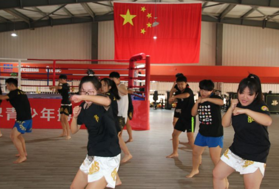 石家莊開(kāi)設(shè)體育專(zhuān)業(yè)、武術(shù)專(zhuān)業(yè)的學(xué)校