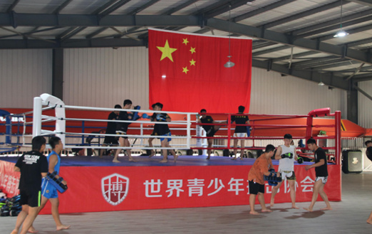 散打專業(yè).png